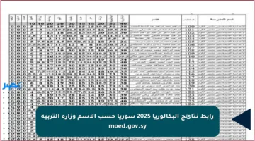رابط نتائج البكالوريا 2025 سوريا حسب الاسم وزارة التربية moed.gov.sy